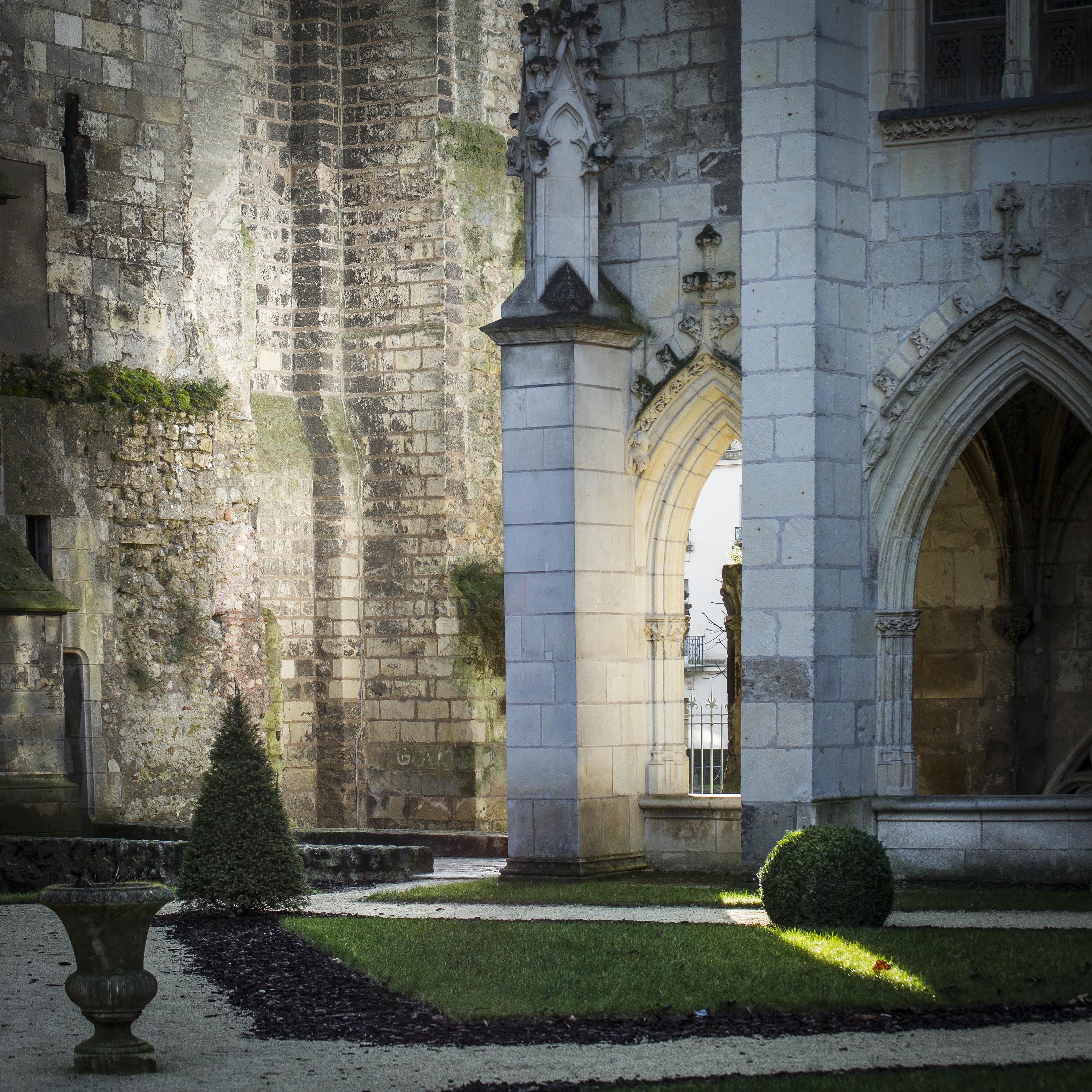 Cloître de la Psalette - Janvier 2015