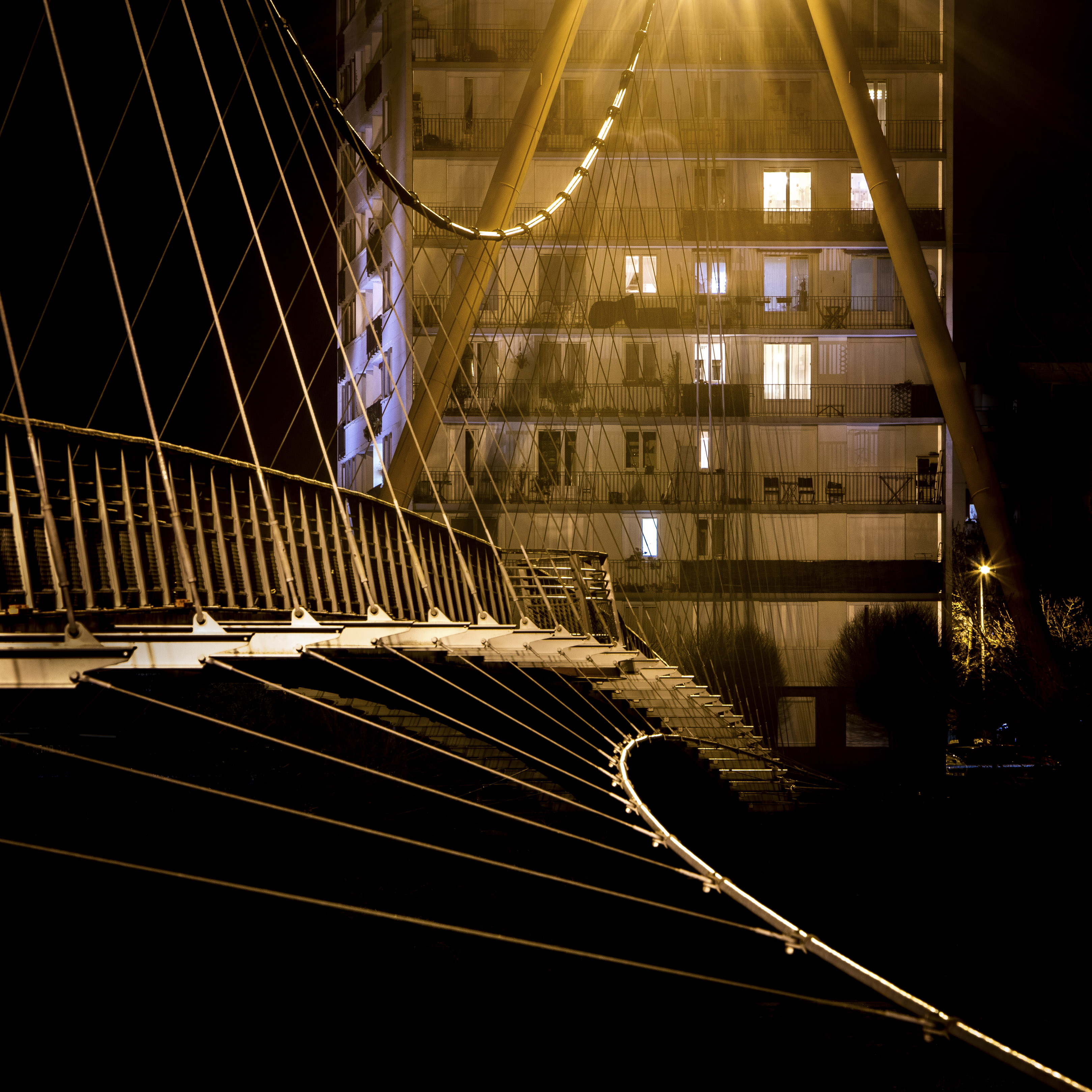 Quartier des rives du cher #6 - Janvier 2017