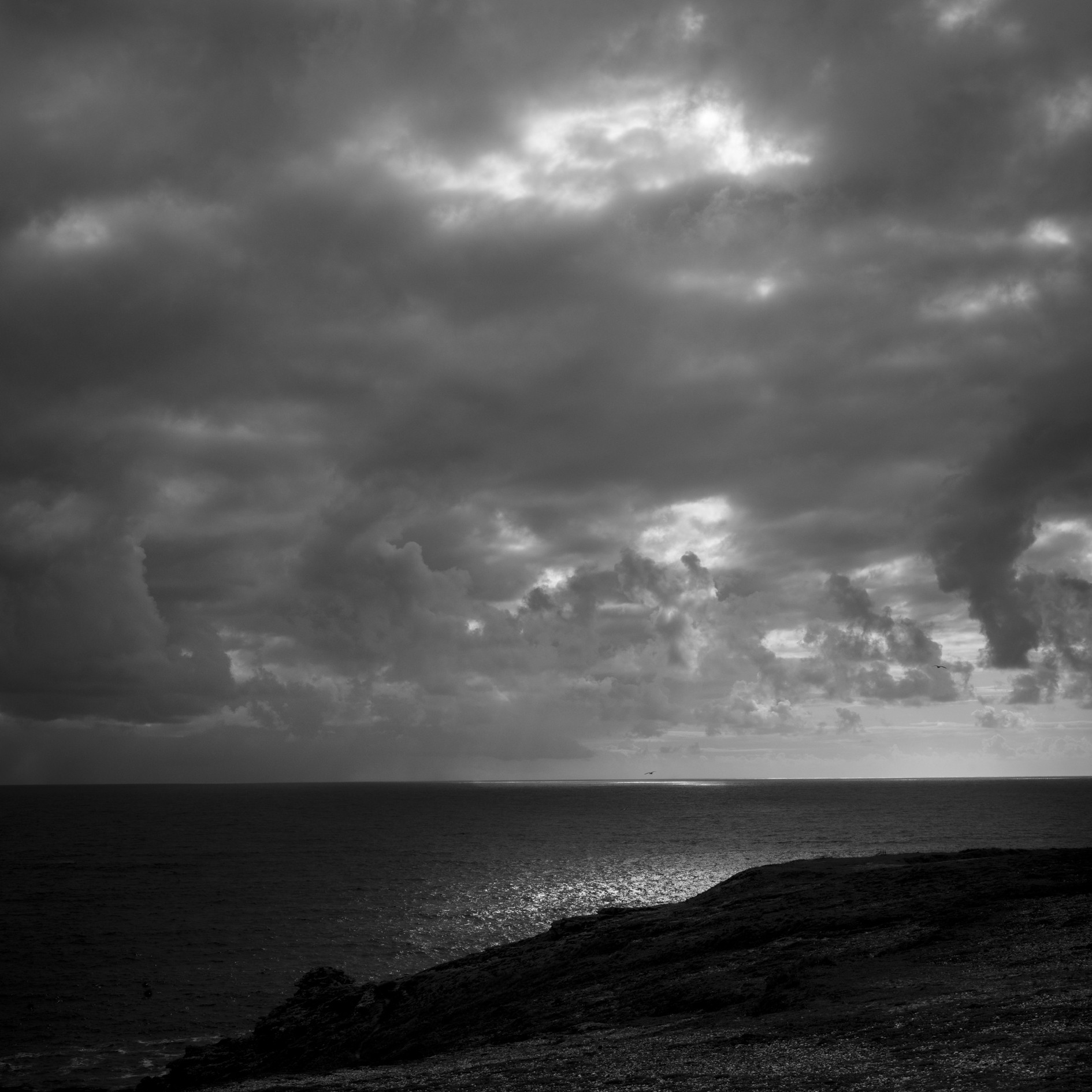 Belle-Île-en-Mer #4 - Août 2021