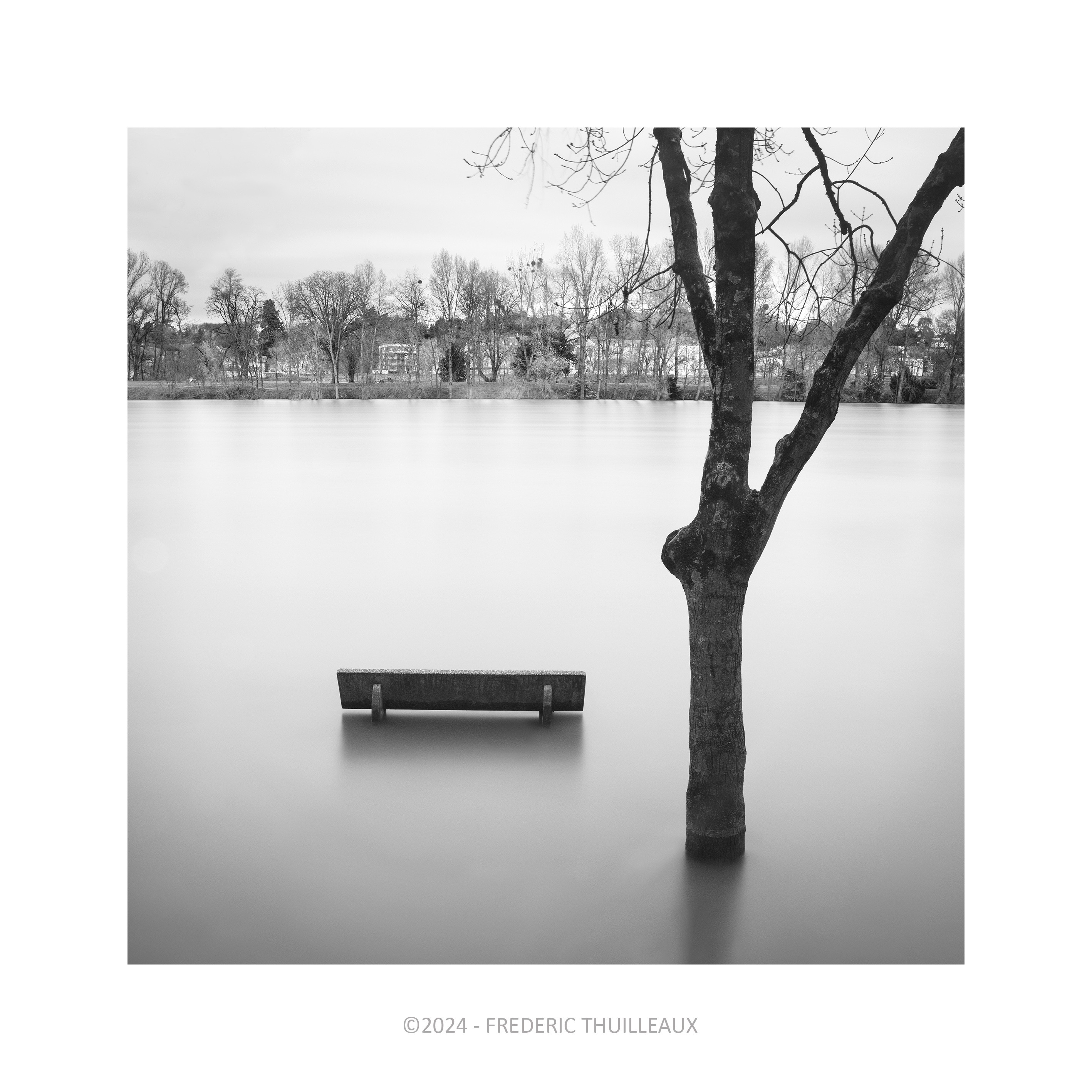 Bords de Loire, Tours - Mars 2024