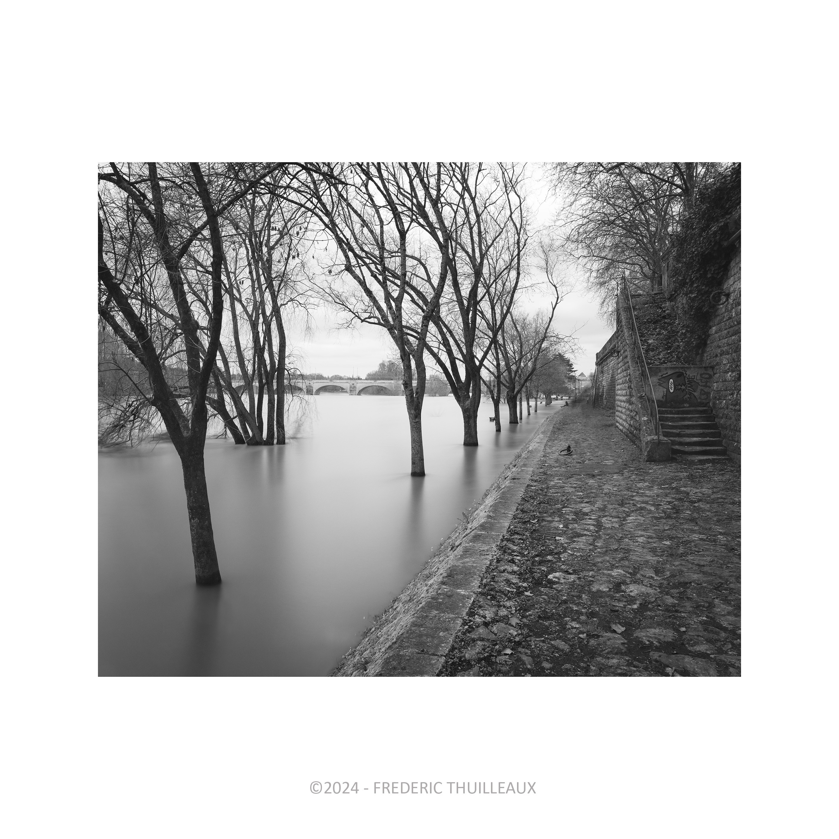 Bords de Loire, Tours - Mars 2024 #12