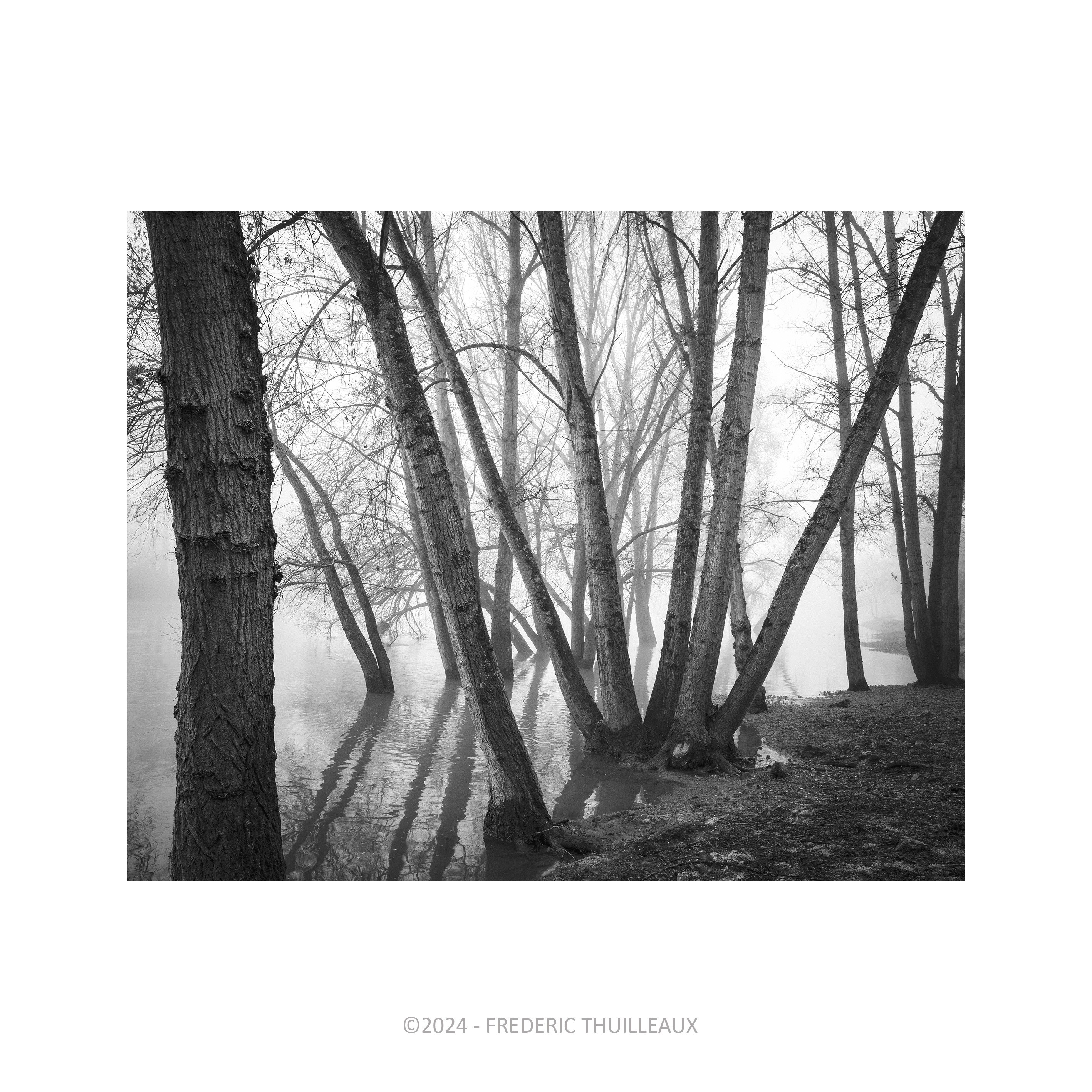 Bords de Loire, Tours - Mars 2024 #4