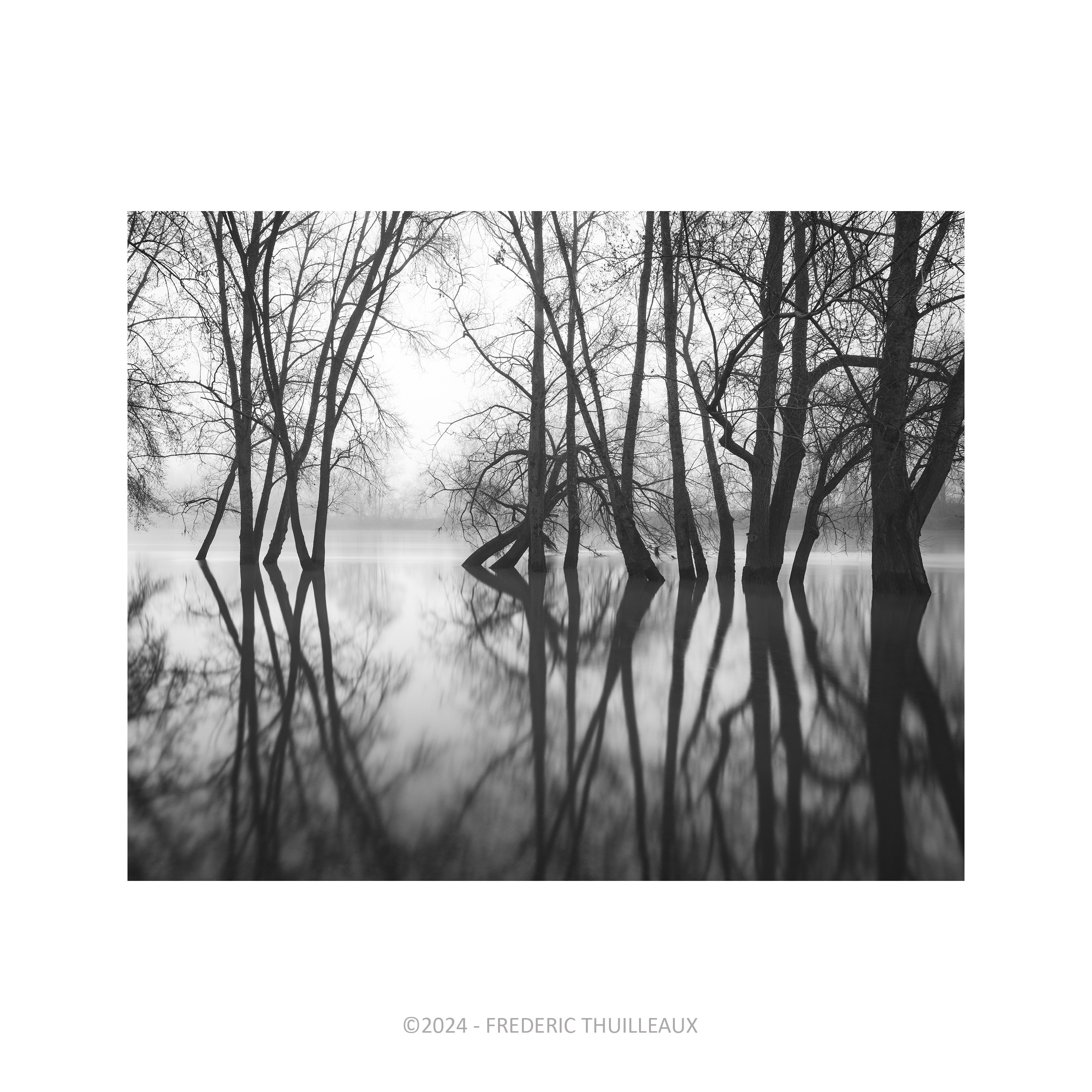 Bords de Loire, Tours - Mars 2024 #6