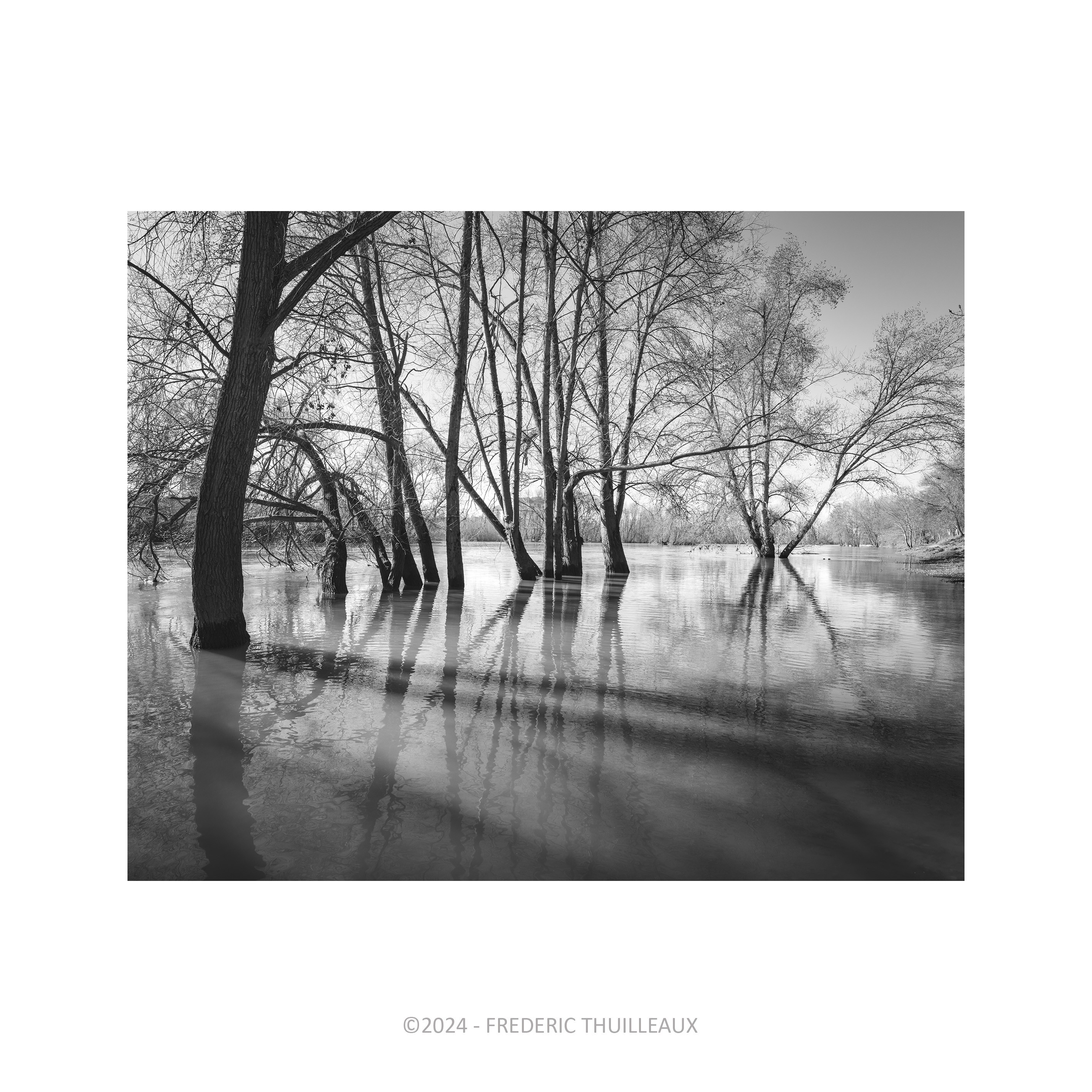 Bords de Loire, Tours - Mars 2024 #9