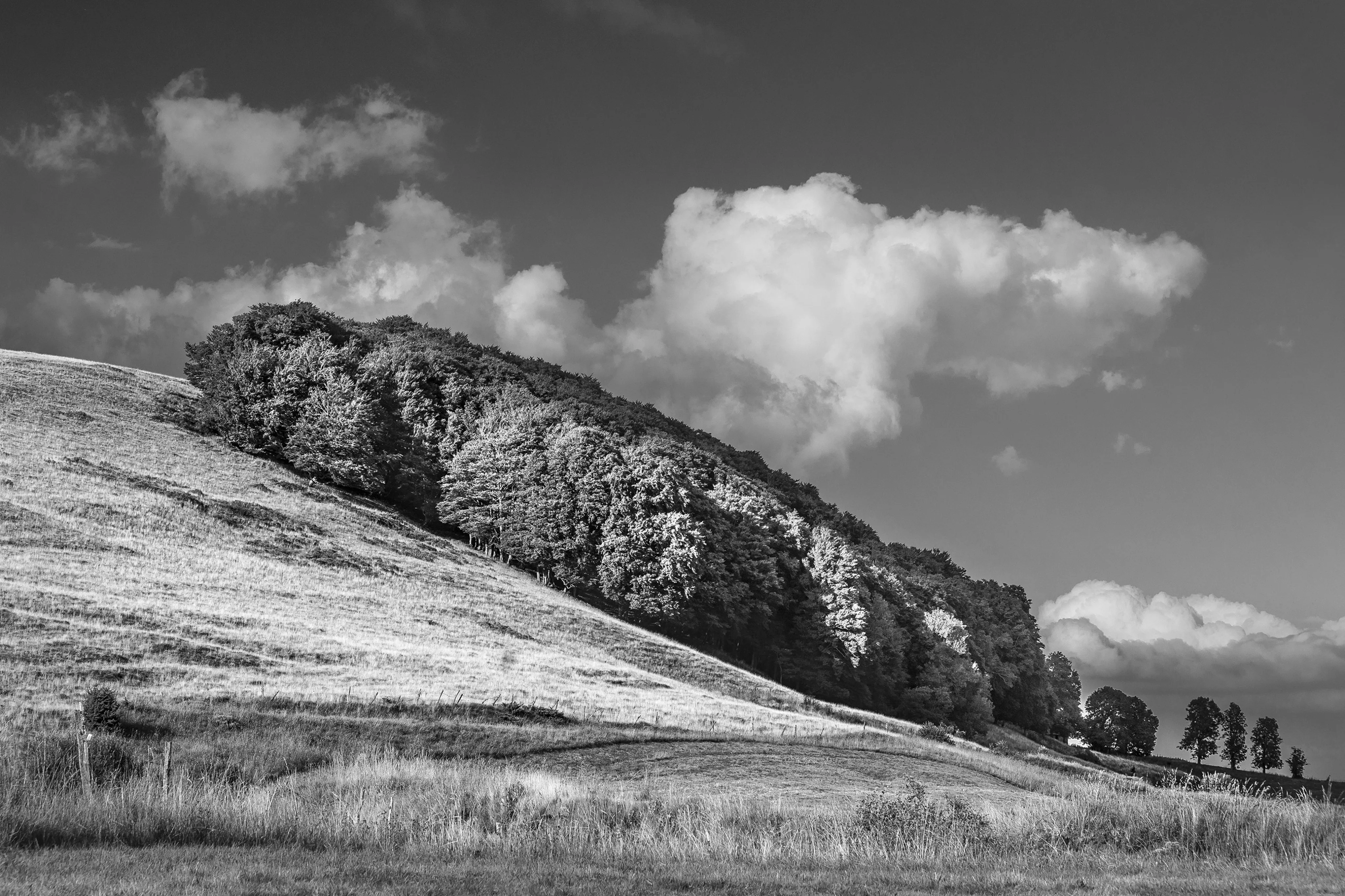 Cantal, Août 2015 