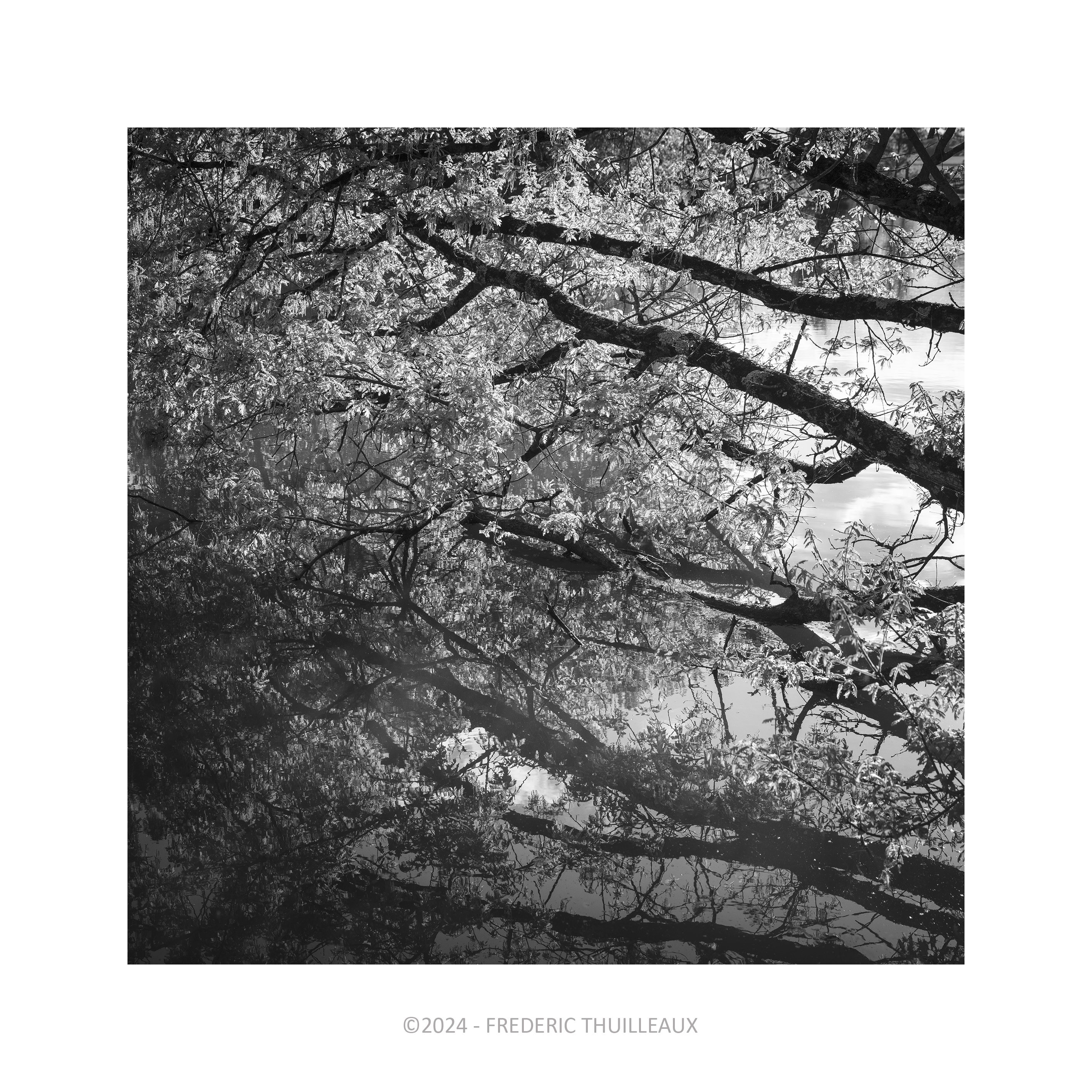ENS - Les Etangs de Narbonne - Avril 2024 #2