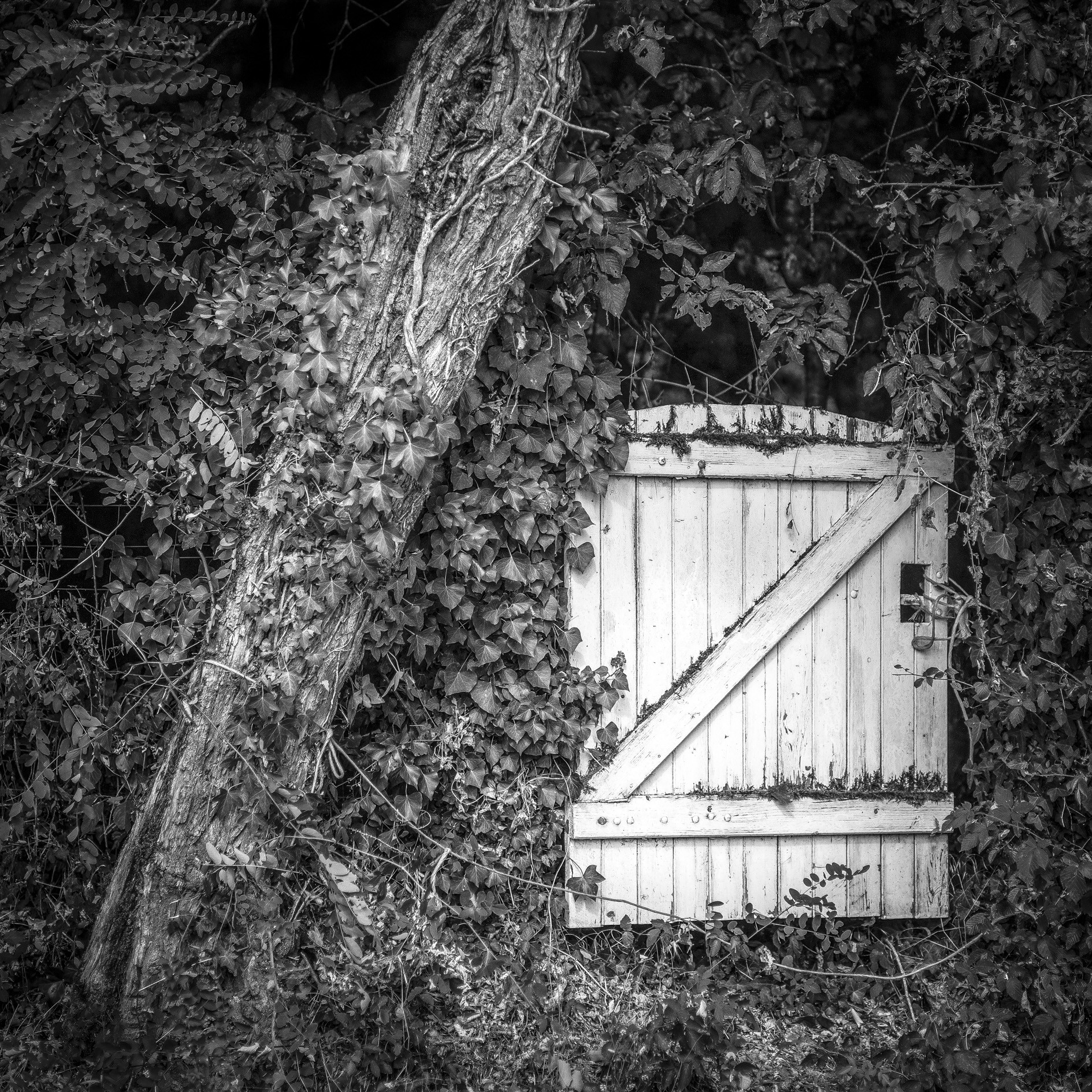 La Grange Poitou -  Juillet 2015