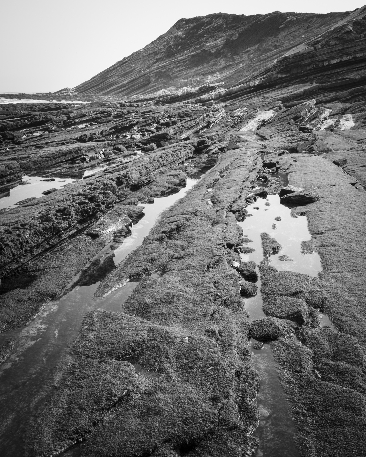 Mirador de Belharra - Mars 2021