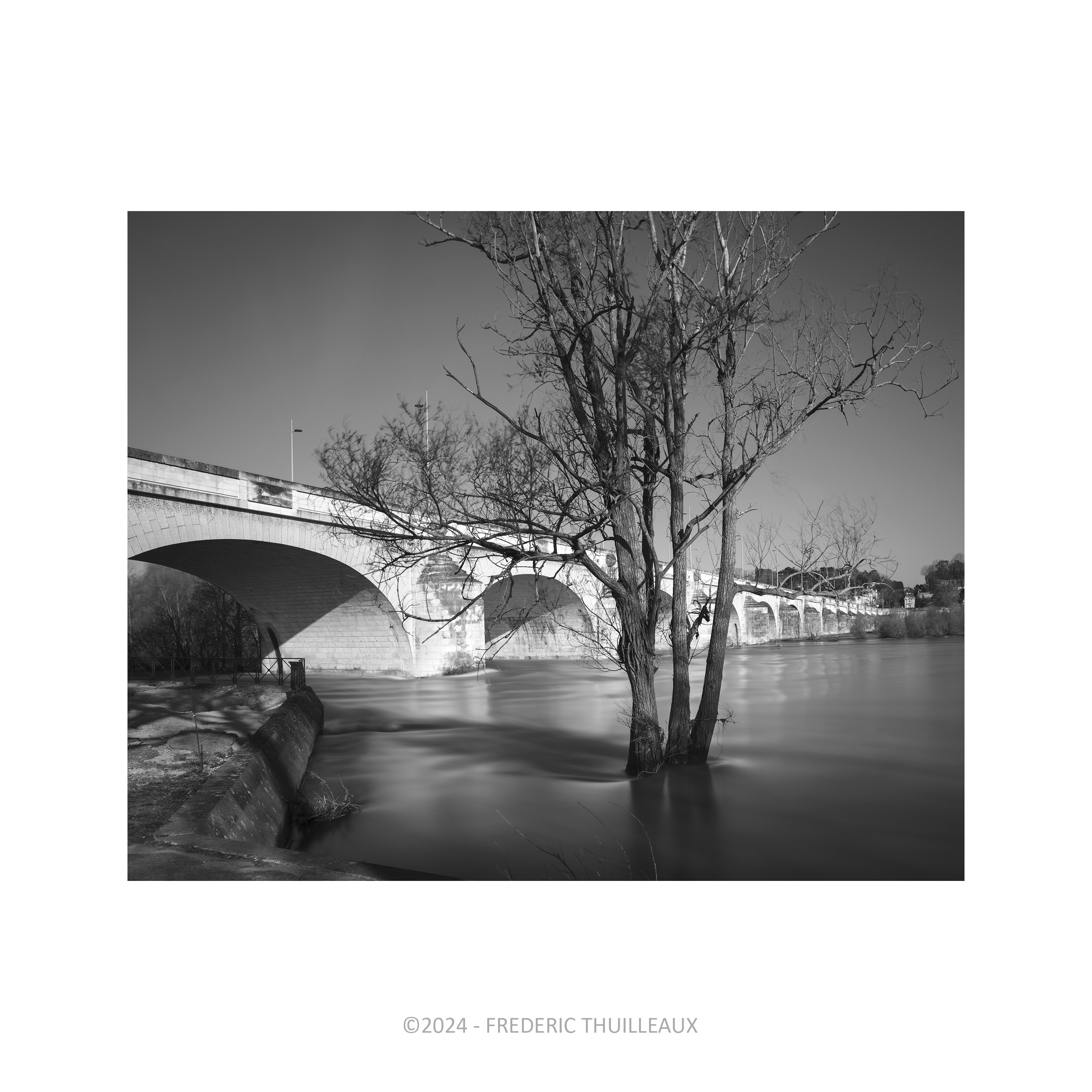 Pont Wilson, Tours - Mars 2024 #4