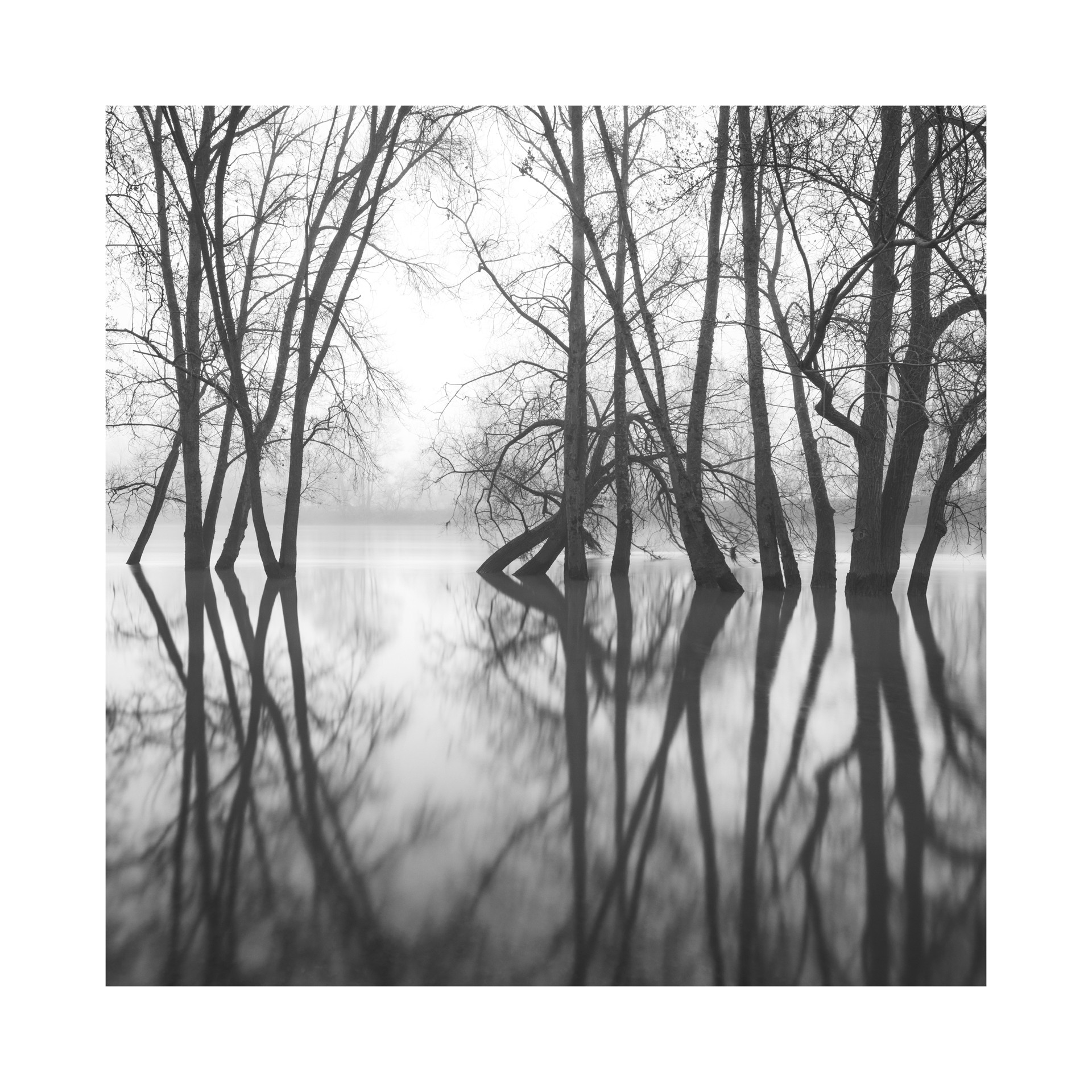 Bords de Loire, Tours - Mars 2024 #6
