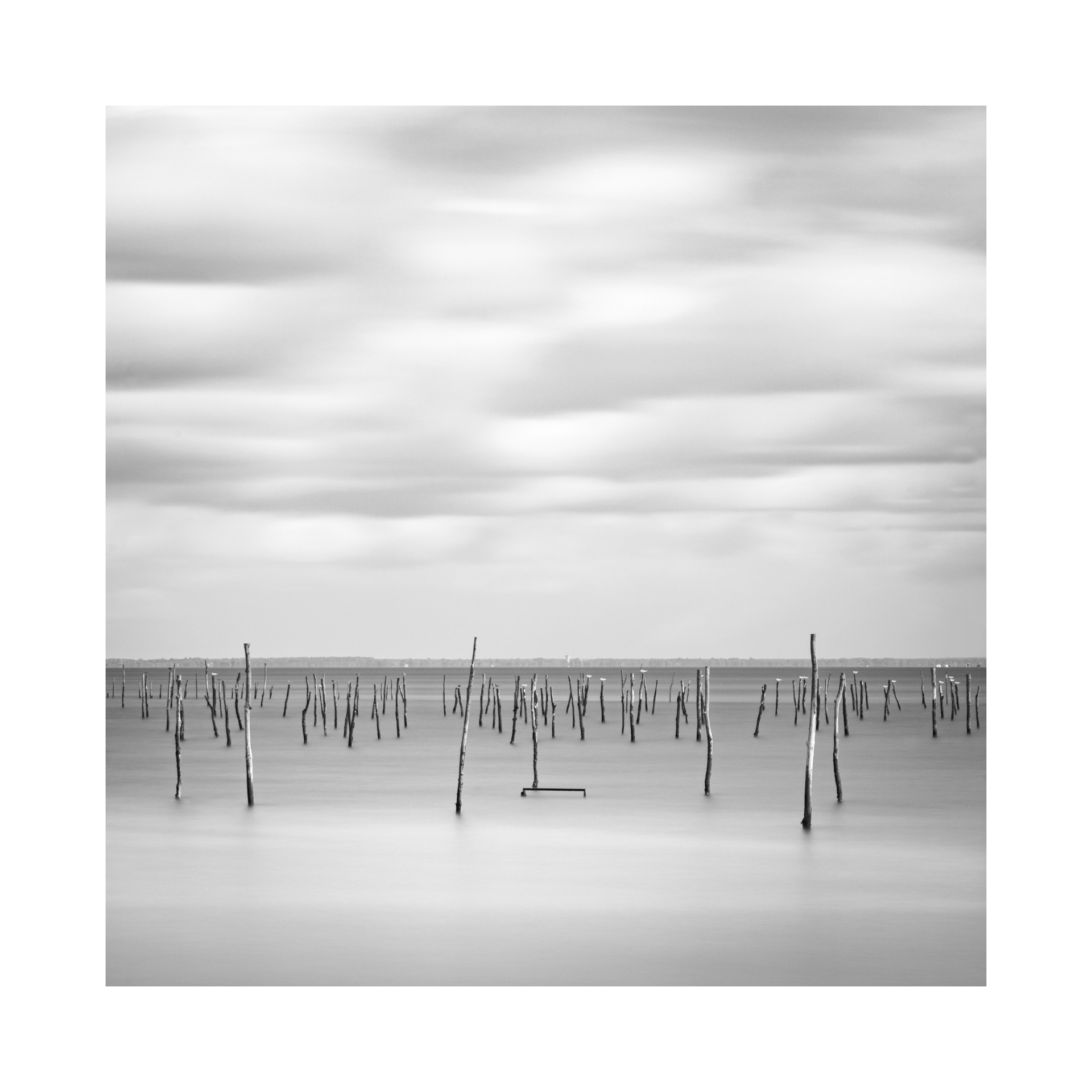 Le Canon, Cap Ferret - Septembre 2023
